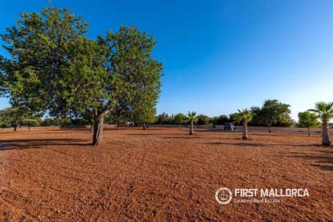 Finca i Llucmajor, Mallorca, Llucmajor - € 1.490.000 | Ref: 79531 - foto 23