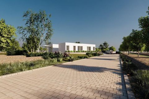 Villa a Benejuzar, Alicante, Benejuzar - € 995.000 | Ref: 787527 - foto 7