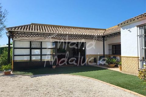 Villa in Marchena, Sevilla, Marchena - € 240.000 | Ref: VL1231 - foto 3
