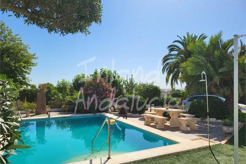 Villa in Marchena, Sevilla, Marchena - € 240.000 | Ref: VL1231 - foto 5