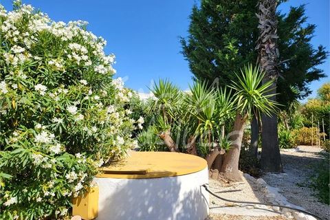 Villa in Marchena, Sevilla, Marchena - € 240.000 | Ref: VL1231 - foto 6