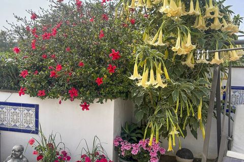 Cortijo i Coin, Malaga, Coin - € 525.000 | Ref: R5430550 - foto 35