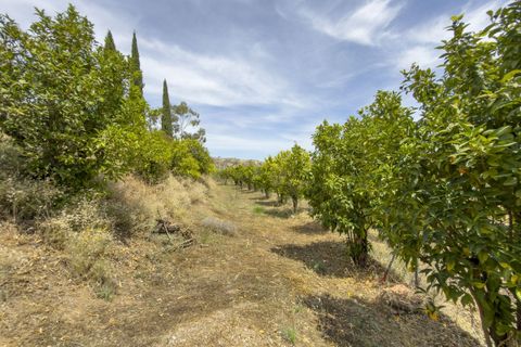 Cortijo i Coin, Malaga, Coin - € 525.000 | Ref: R5430550 - foto 48
