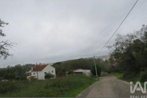 Tomt i Tomar, Santarem, Tomar - € 70 500 | Ref: 963463 - foto 2