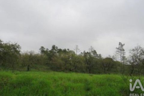 Tomt i Tomar, Santarem, Tomar - € 70 500 | Ref: 963463 - foto 3
