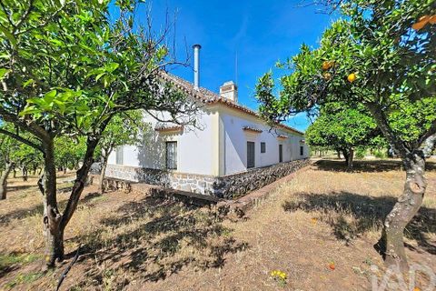 Granja a Elvas, Portalegre, Elvas - € 525.000 | Ref: 928578 - foto 26