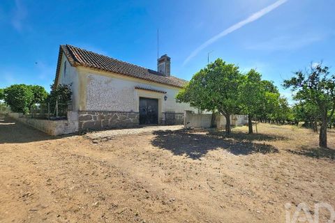 Granja a Elvas, Portalegre, Elvas - € 525.000 | Ref: 928578 - foto 27