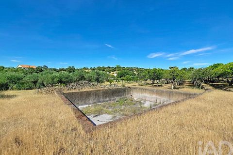 Granja a Elvas, Portalegre, Elvas - € 525.000 | Ref: 928578 - foto 33
