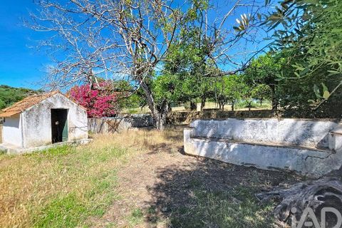 Granja a Elvas, Portalegre, Elvas - € 525.000 | Ref: 928578 - foto 35