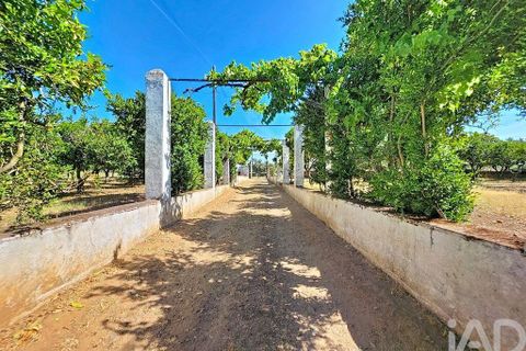 Granja a Elvas, Portalegre, Elvas - € 525.000 | Ref: 928578 - foto 38