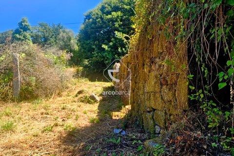 Byhus i Ponte da Barca, Viana do Castelo, Ponte da Barca - € 40.000 | Ref: AV6759 - foto 6
