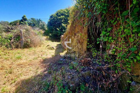 Byhus i Ponte da Barca, Viana do Castelo, Ponte da Barca - € 40.000 | Ref: AV6759 - foto 19