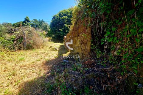 Byhus i Ponte da Barca, Viana do Castelo, Ponte da Barca - € 40.000 | Ref: AV6759 - foto 20
