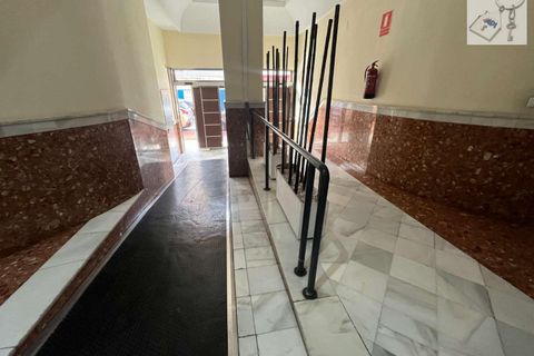 Apartamento en Torrevieja, Alicante - foto 4