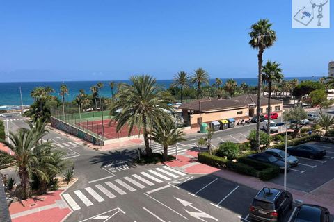Apartamento en Torrevieja, Alicante - foto 1