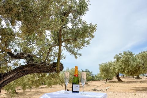 Villa i Tortosa, Tarragona, Tortosa - € 1.375.000 | Ref: EXP14960/8930 - foto 17