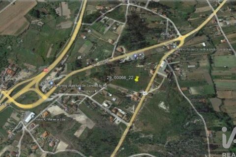 Terra a Tondela, Viseu, Tondela - € 25.237 | Ref: 963464 - foto 3