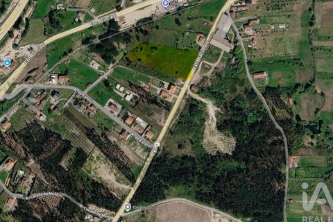 Terra a Tondela, Viseu, Tondela - € 25.237 | Ref: 963464 - foto 2