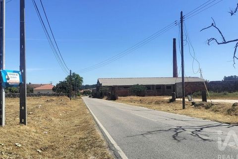 Terra a Tondela, Viseu, Tondela - € 25.237 | Ref: 963464 - foto 4