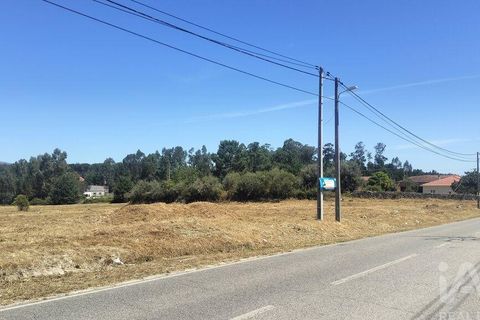 Terra a Tondela, Viseu, Tondela - € 25.237 | Ref: 963464 - foto 5