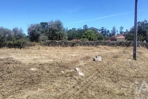 Terra a Tondela, Viseu, Tondela - € 25.237 | Ref: 963464 - foto 6