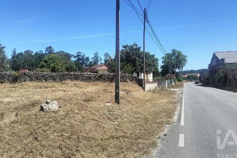 Terra a Tondela, Viseu, Tondela - € 25.237 | Ref: 963464 - foto 7