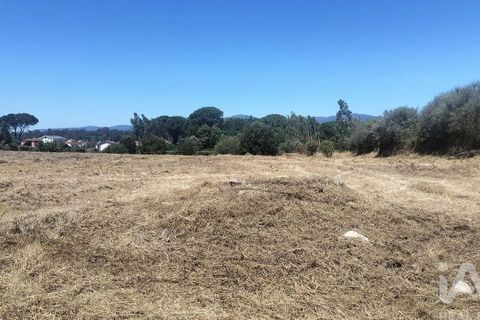 Terra a Tondela, Viseu, Tondela - € 25.237 | Ref: 963464 - foto 8