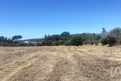 Terra a Tondela, Viseu, Tondela - € 25.237 | Ref: 963464 - foto 12
