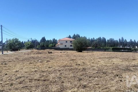 Terra a Tondela, Viseu, Tondela - € 25.237 | Ref: 963464 - foto 14
