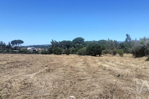 Terra a Tondela, Viseu, Tondela - € 25.237 | Ref: 963464 - foto 15