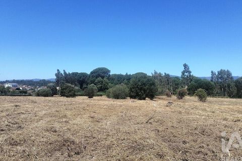 Terra a Tondela, Viseu, Tondela - € 25.237 | Ref: 963464 - foto 17