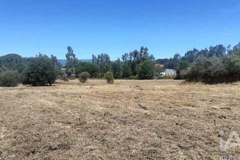 Terra a Tondela, Viseu, Tondela - € 25.237 | Ref: 963464 - foto 18