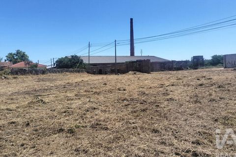Terra a Tondela, Viseu, Tondela - € 25.237 | Ref: 963464 - foto 19