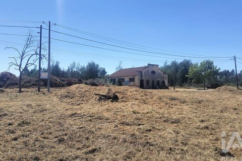 Terra a Tondela, Viseu, Tondela - € 25.237 | Ref: 963464 - foto 20