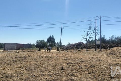 Terra a Tondela, Viseu, Tondela - € 25.237 | Ref: 963464 - foto 23