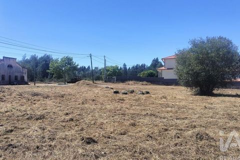 Terra a Tondela, Viseu, Tondela - € 25.237 | Ref: 963464 - foto 24