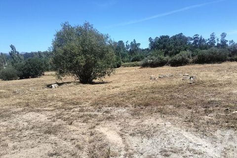 Terra a Tondela, Viseu, Tondela - € 25.237 | Ref: 963464 - foto 26