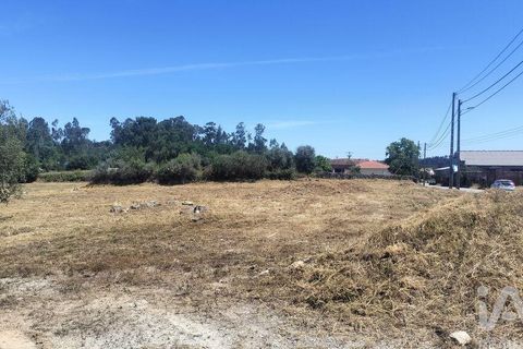 Terra a Tondela, Viseu, Tondela - € 25.237 | Ref: 963464 - foto 27