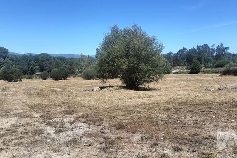 Terra a Tondela, Viseu, Tondela - € 25.237 | Ref: 963464 - foto 28
