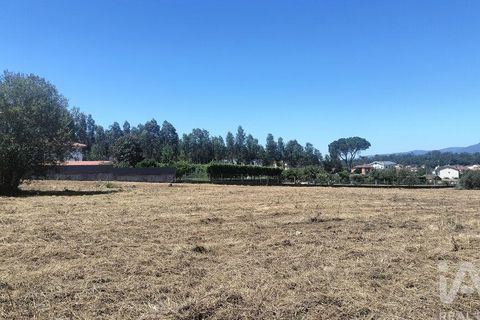 Terra a Tondela, Viseu, Tondela - € 25.237 | Ref: 963464 - foto 30