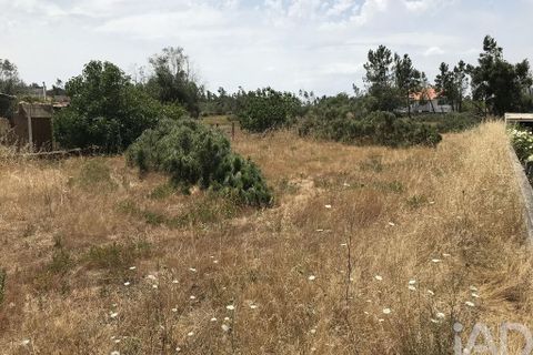 Grond in Ourem, Santarem, Ourem - € 39.950 | Ref: 962280 - foto 2