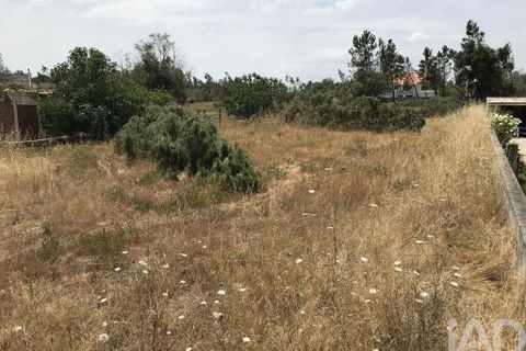 Grond in Ourem, Santarem, Ourem - € 39.950 | Ref: 962280 - foto 3