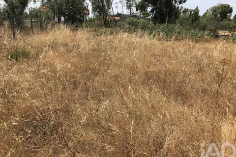 Grond in Ourem, Santarem, Ourem - € 39.950 | Ref: 962280 - foto 4