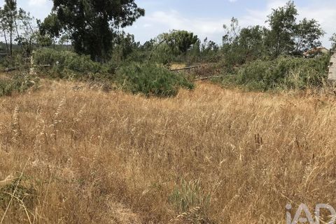 Grond in Ourem, Santarem, Ourem - € 39.950 | Ref: 962280 - foto 5