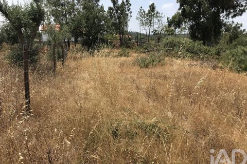 Grond in Ourem, Santarem, Ourem - € 39.950 | Ref: 962280 - foto 6
