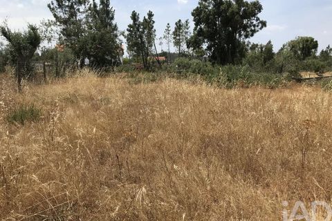 Grond in Ourem, Santarem, Ourem - € 39.950 | Ref: 962280 - foto 8