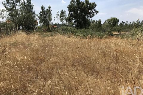 Grond in Ourem, Santarem, Ourem - € 39.950 | Ref: 962280 - foto 9