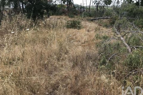 Grond in Ourem, Santarem, Ourem - € 39.950 | Ref: 962280 - foto 10