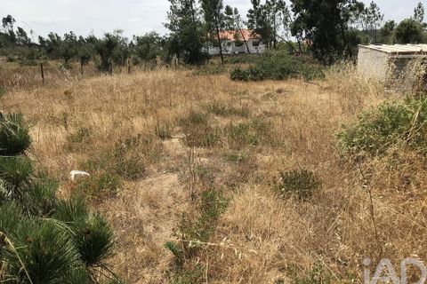 Grond in Ourem, Santarem, Ourem - € 39.950 | Ref: 962280 - foto 11