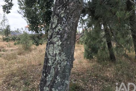 Grond in Ourem, Santarem, Ourem - € 39.950 | Ref: 962280 - foto 17